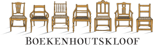Platters titel "Winery of the Year 2020" naar Boekenhoutskloof