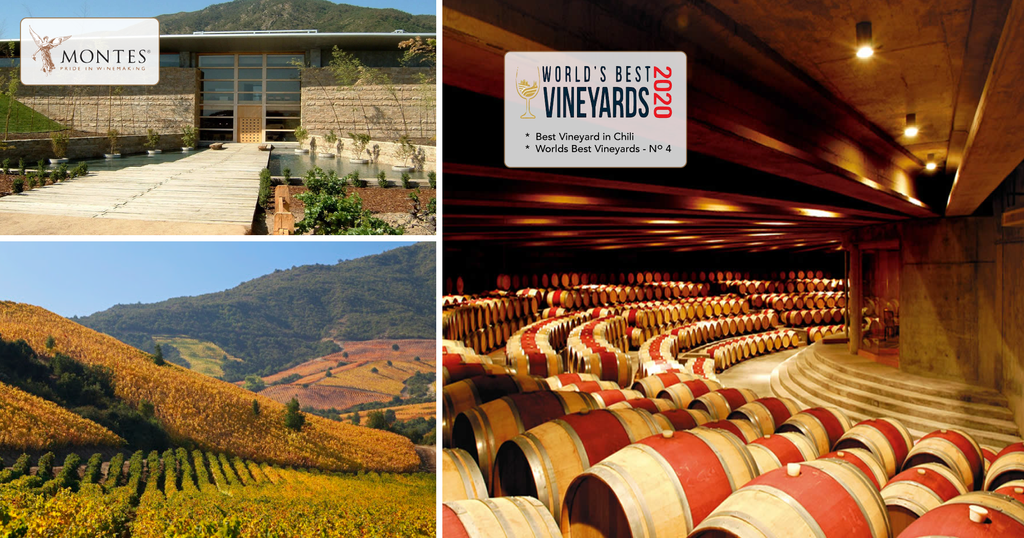 Montes gekozen als beste wijngaard van Chili