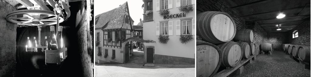 E. Boeckel