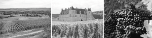 Louis Jadot