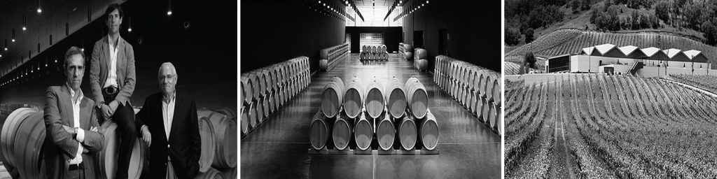 Bodegas Cepa 21