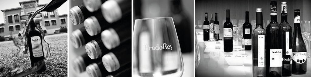 PradoRey