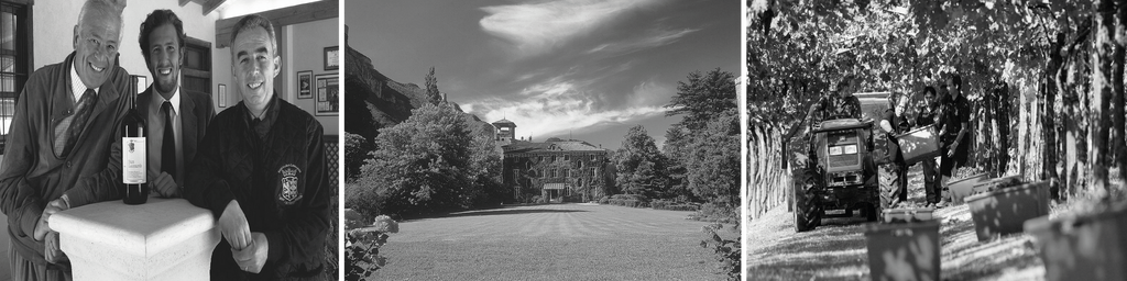 Tenuta San Leonardo